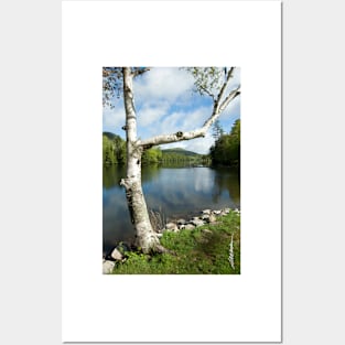 Spring on Woodard Reservoir Posters and Art